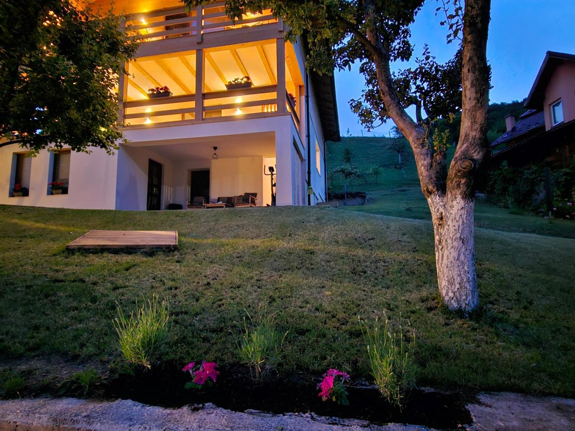 Casa Mara Viseu De Sus酒店 外观 照片