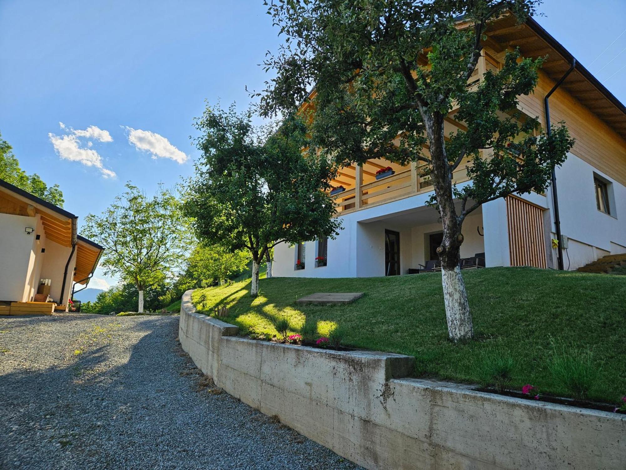 Casa Mara Viseu De Sus酒店 外观 照片